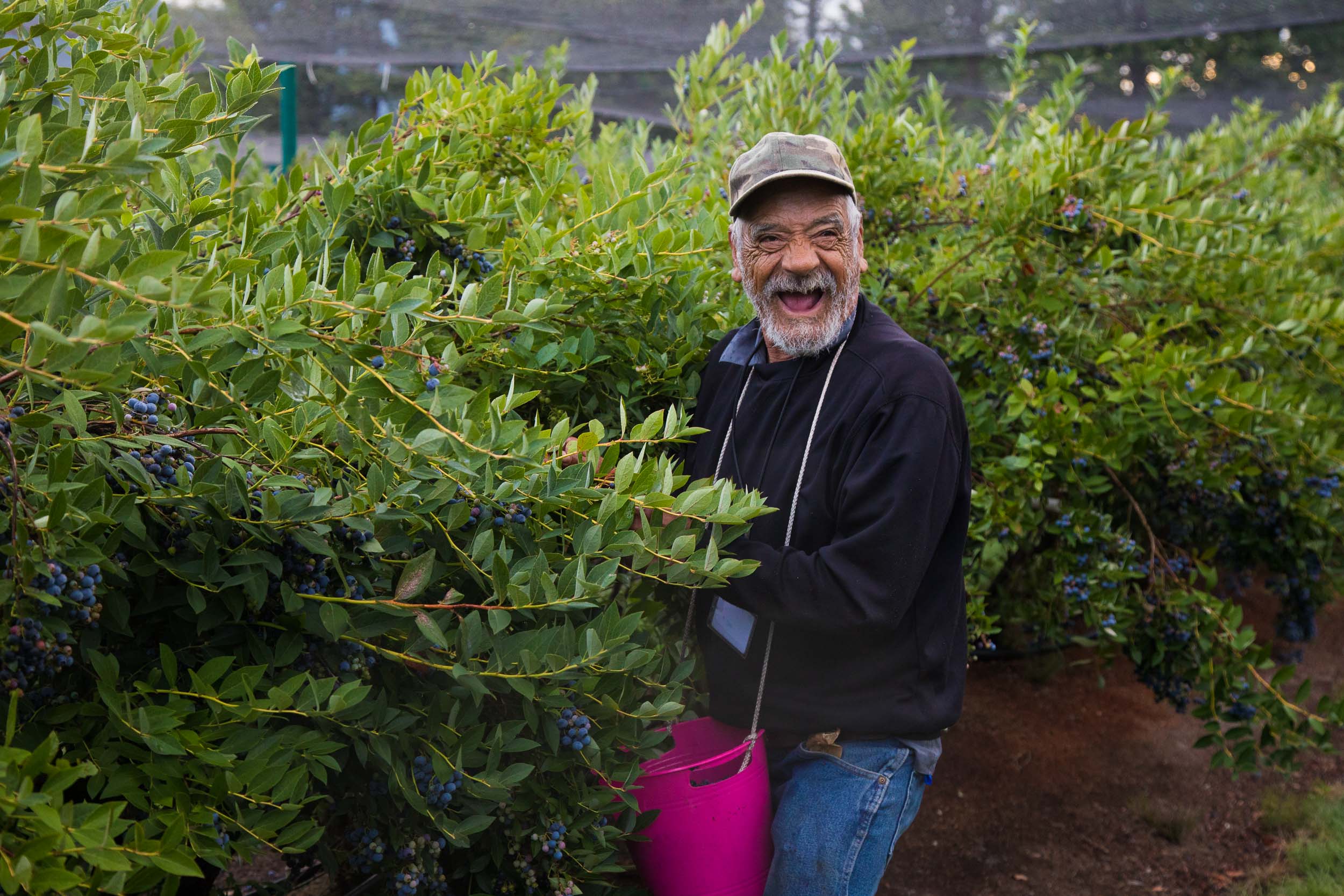 Farming in Washington State : Jed Share Images