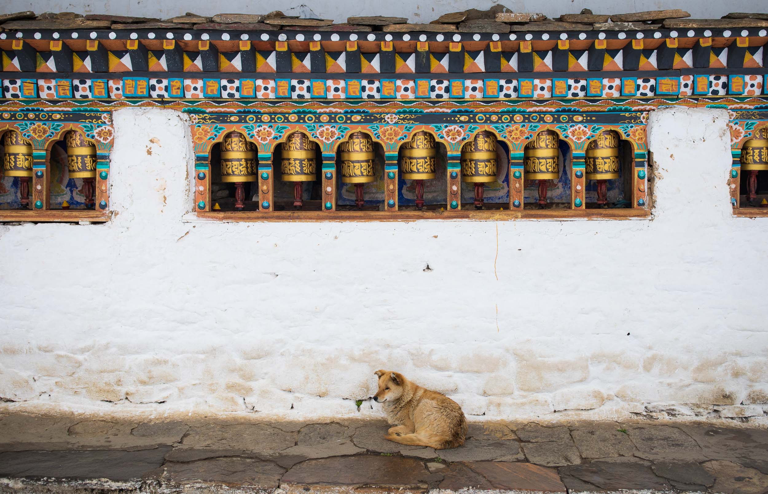 Bhutan : Photographed by Jed Share