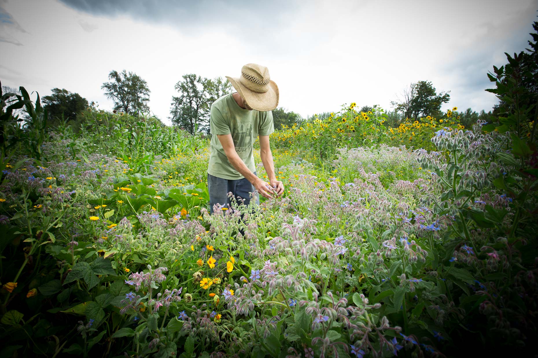 Visual Storytelling  | Sustainable agriculture  on the farm | Washington State near Seattle