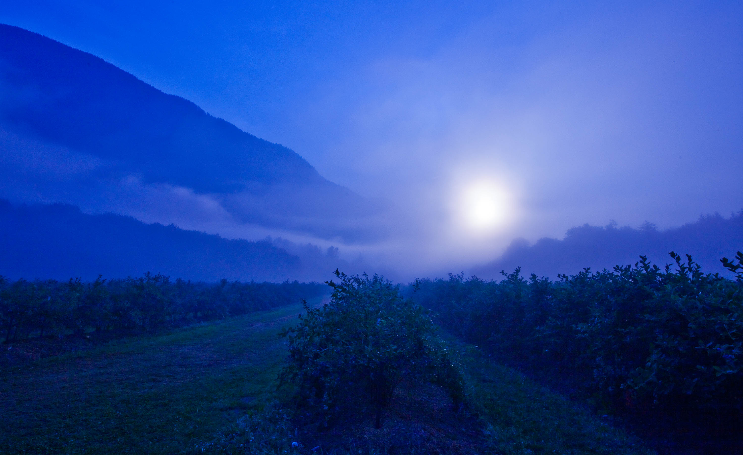 Visual Storytelling  : Sustainable-agriculture : Washington State : Creative Photography for agriculture